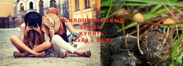 мескалин Алексеевка