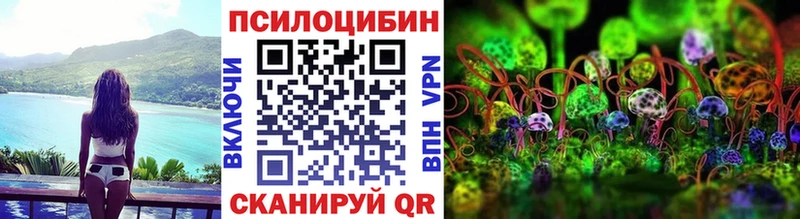 блэк спрут ССЫЛКА Сосновый Бор Галлюциногенные грибы Psilocybine cubensis